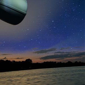 Meet your Posher, Baylor